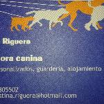 Cristina Riguera Cabanas Cristina Riguera Cabanas