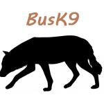 Busk Busk