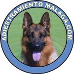Adiestramiento Málaga Adiestramiento Málaga