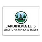 Luis Luis