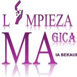 Limpieza Mágica Mb Limpieza Mágica Mb