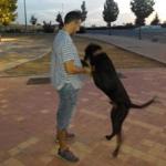 Jero Calle Jero Calle