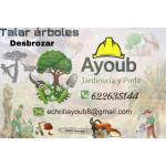 Servicios Forestal Y Jardinería