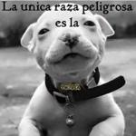 Julio Mendoza Julio Mendoza