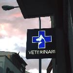 Sa Riera Centre Veterinari Sa Riera Centre Veterinari