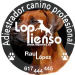 Terapeuta Canino Lopienso Terapeuta Canino Lopienso