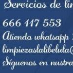 Limpiezas La Libélula Limpiezas La Libélula