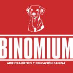 Binomium Adiestramiento