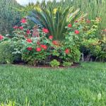 Jardinería Y Paisajismos Js
