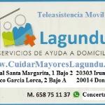 Lagundu Servicios Asistenciales Sl