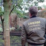 Jardinería Para Empresas Y Particulares Jardinería Para Empresas Y Particulares