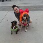 yo te Cuido Guarderia Canina yo te Cuido Guarderia Canina