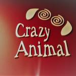 Crazy Animal Crazy Animal