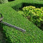 Jardineros Particulares Jardineros Particulares