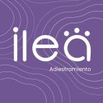 Ilea Educación Canina Ilea Educación Canina