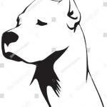 En La Mente De Un Perro En La Mente De Un Perro