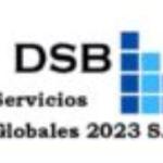 Dsb Consultores