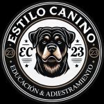 Brandon Estilo Canino23 Brandon Estilo Canino23