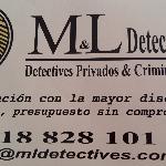 Ml Detectives