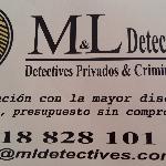 Ml Detectives Ml Detectives