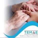 Temaer Asistencia Temaer Asistencia