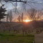 Desbrozes Y Podas Madrid Sierra Oeste Desbrozes Y Podas Madrid Sierra Oeste