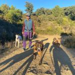 Paseador Canino Paseador Canino