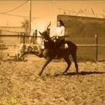 Laurita Rc Laurita Rc