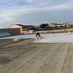 Impam  Impermeabilizaciones Pamplona