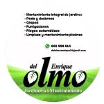 Jardinería   Mantenimiento Del Olmo