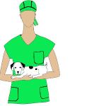Clinica Veterinaria Alonso Martinez Clinica Veterinaria Alonso Martinez