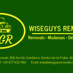 Wiseguys Removals