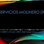 Multiservicios Molinero Duran