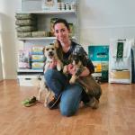Peluquería Canina Y Felina Gorbi Peluquería Canina Y Felina Gorbi