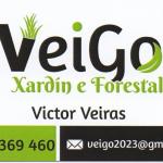 Veigo Veigo