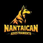 Adiestramiento Nantaican