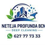 Neteja Profunda Bcn