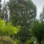 Podaltura Tenerife S.l. Podaltura Tenerife S.l.