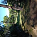 Jardinero