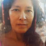 Nelly Vidal Ponce Nelly Vidal Ponce