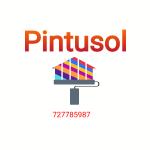 Pintusol Pintusol