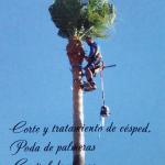 Jardinería Oscar Jardinería Oscar