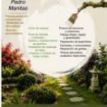 Servicios De Jardinería Y Albañilería