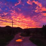 Isabel Salvador Llorens