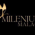 Centro Milenium Fuengirola