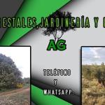 Agjardines Agjardines
