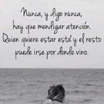 Noe Noe