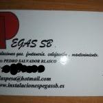 Pegas Sb Pegas Sb