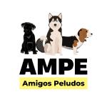 Ampe Amigos Peludos Ampe Amigos Peludos