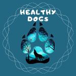 Healthy Dogs Healthy Dogs